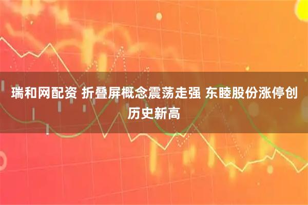 瑞和网配资 折叠屏概念震荡走强 东睦股份涨停创历史新高