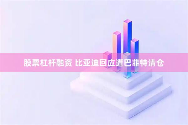 股票杠杆融资 比亚迪回应遭巴菲特清仓