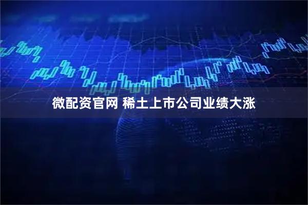 微配资官网 稀土上市公司业绩大涨