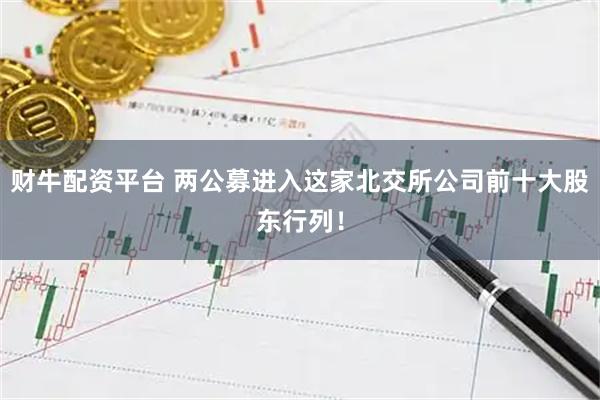财牛配资平台 两公募进入这家北交所公司前十大股东行列！